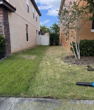 285dFKXekRf8vnmt2OLCYzedhwMnj5fF4xROwXBpBFiCR2pOgqmmIn80qOgnkiMJ (1)-Turns5 (2)